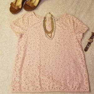 Loft top